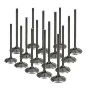 Supertech Black Nitride Intake Valve Set 16 for BMW S65 V8, Stainless Steel 21-4N